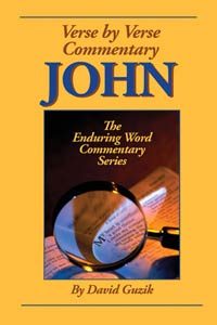 john-by-david-guzik-at-enduring-word