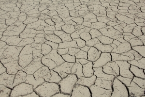 Famine for the Word