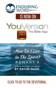 Romans 8 Devotional
