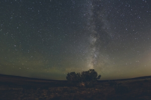 Visioni Notturne