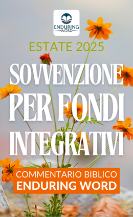 IT Matching Funds Campaign 2025
